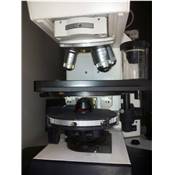 Microscope binoculaire LEICA LEITZ DM RB 301-371.010