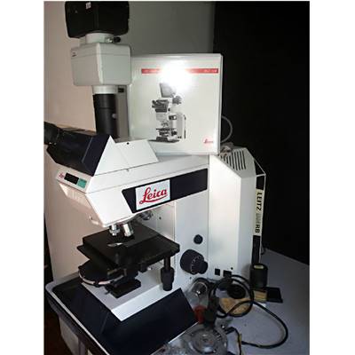Microscope binoculaire LEICA LEITZ DM RB 301-371.010